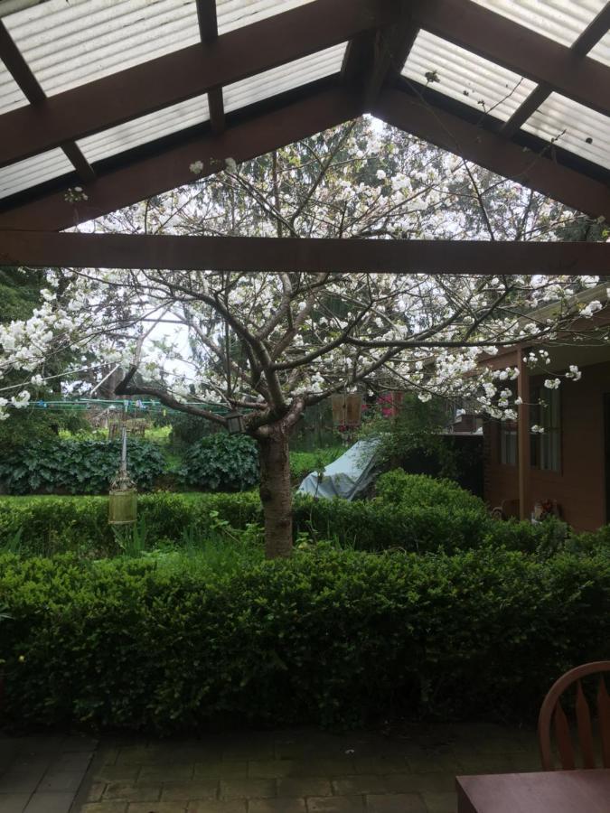 Sherwood Park Bed And Breakfast Somerville Экстерьер фото