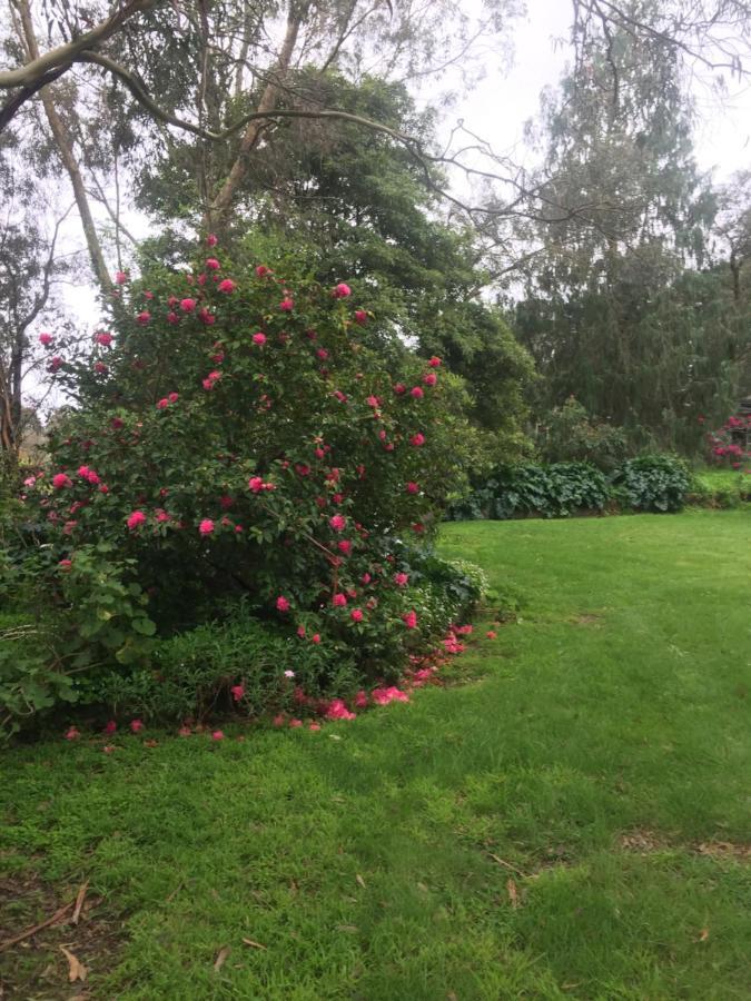 Sherwood Park Bed And Breakfast Somerville Экстерьер фото