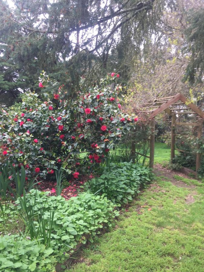 Sherwood Park Bed And Breakfast Somerville Экстерьер фото