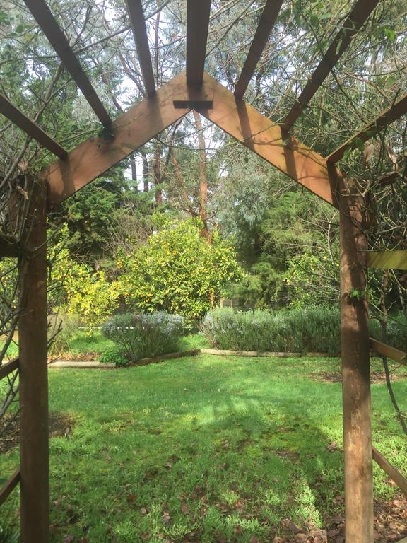 Sherwood Park Bed And Breakfast Somerville Экстерьер фото