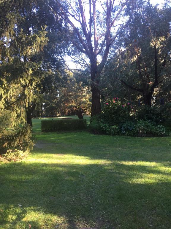 Sherwood Park Bed And Breakfast Somerville Экстерьер фото
