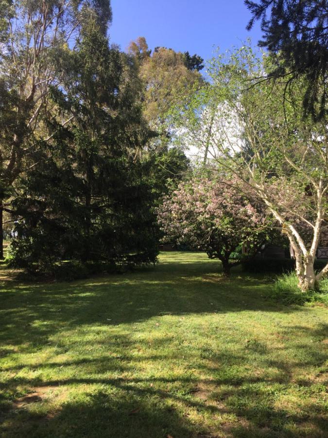 Sherwood Park Bed And Breakfast Somerville Экстерьер фото