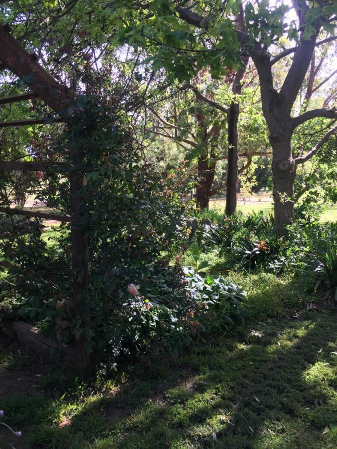 Sherwood Park Bed And Breakfast Somerville Экстерьер фото